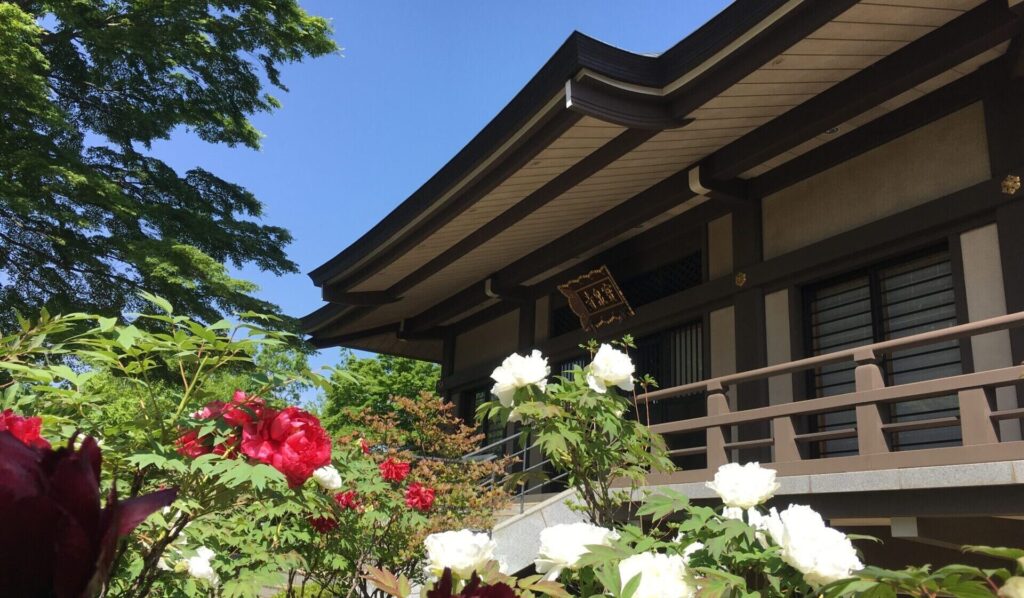宝泉寺と牡丹